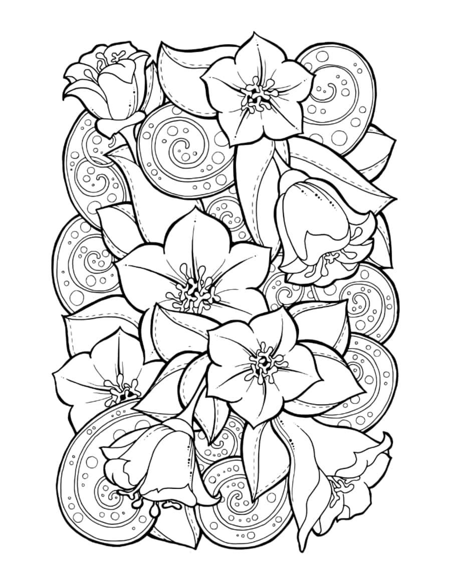 Adult Flower Doodle Coloring Pages Pdf Free Vectors
